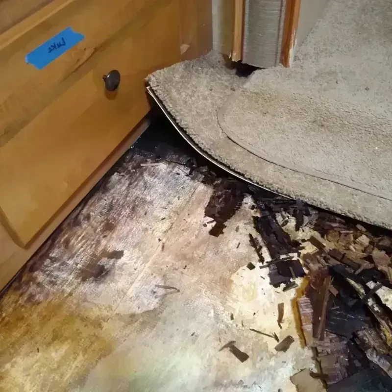 Wood Floor Water Damage in Alexander County, NC